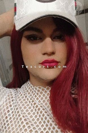 escort ts rennes|TS Escorts Trans and Shemales in Rennes Rennes